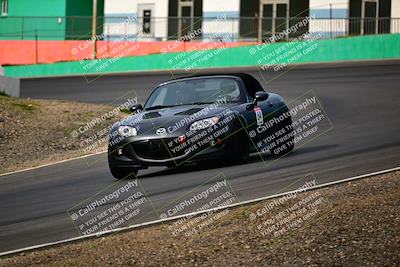 media/Feb-25-2024-Speed Ventures (Sun) [[b9a2a97a4d]]/Purple Group/Session 1 (Turns 4 and 5)/